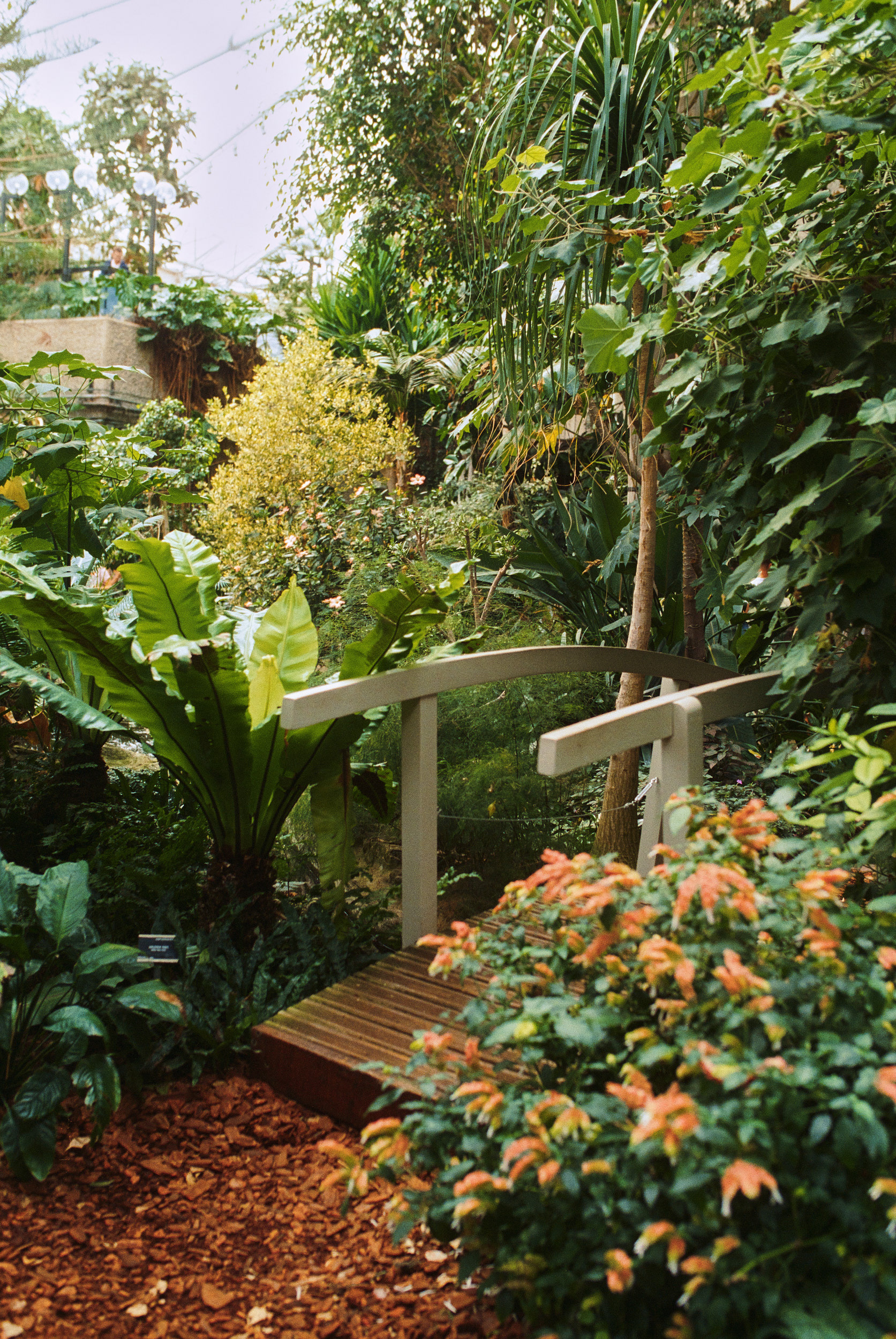 巴比肯温室丨英国伦敦-30