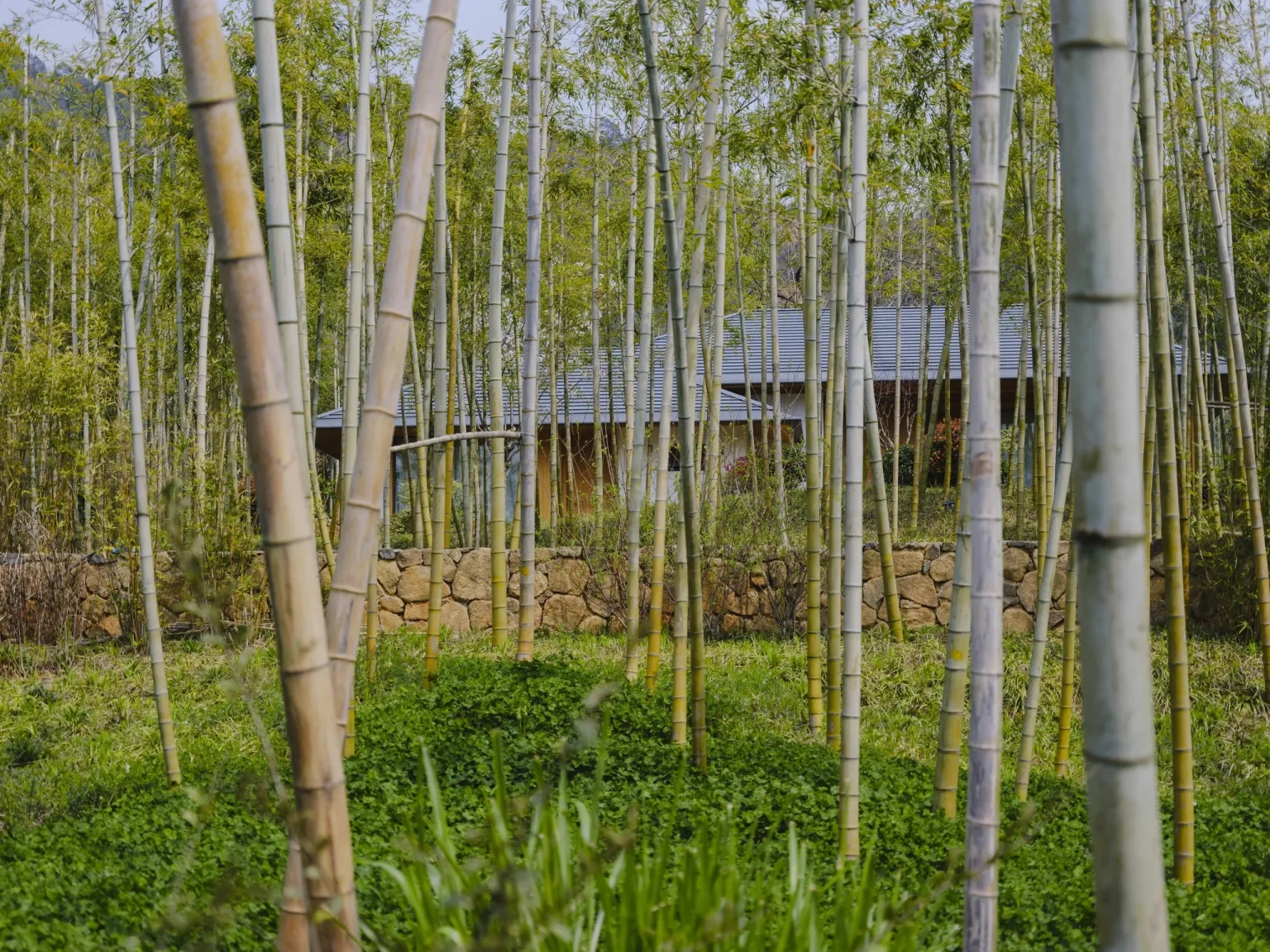 陶园丨中国丨中国美术学院风景建筑设计研究总院熊礼和团队-14