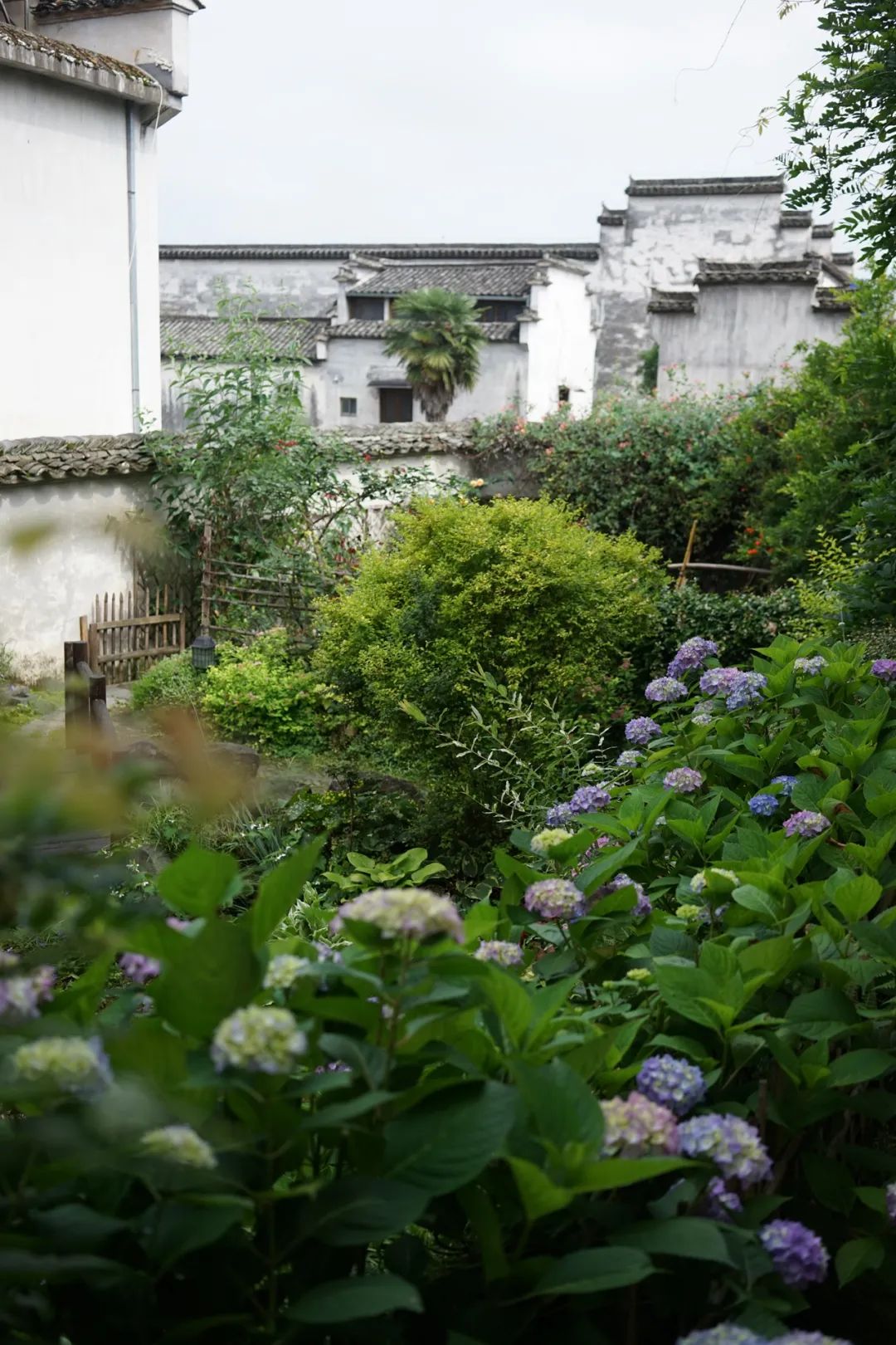 回声花园 · IT 夫妇的乡野生活丨中国黄山丨红子,小可夫妇-36