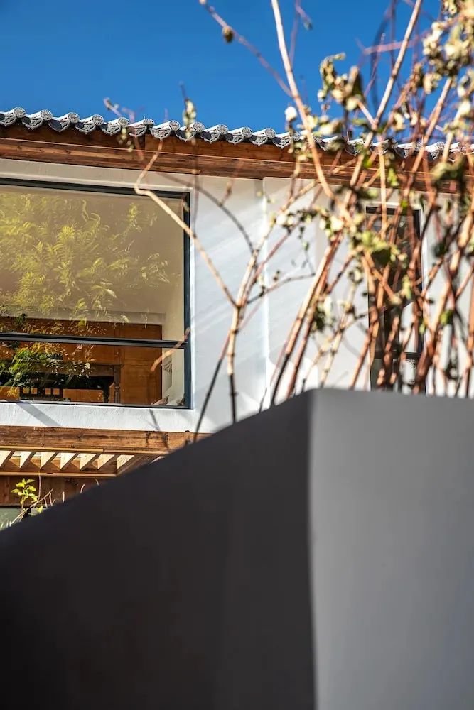 五姐妹同住“乘风破浪的家”，《梦想改造家》实现最美抱团养老-176