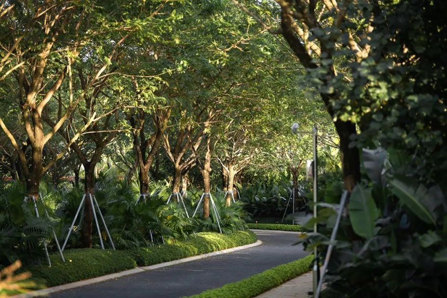 神州半岛君悦酒店丨中国万宁丨SED新西林园林景观-22