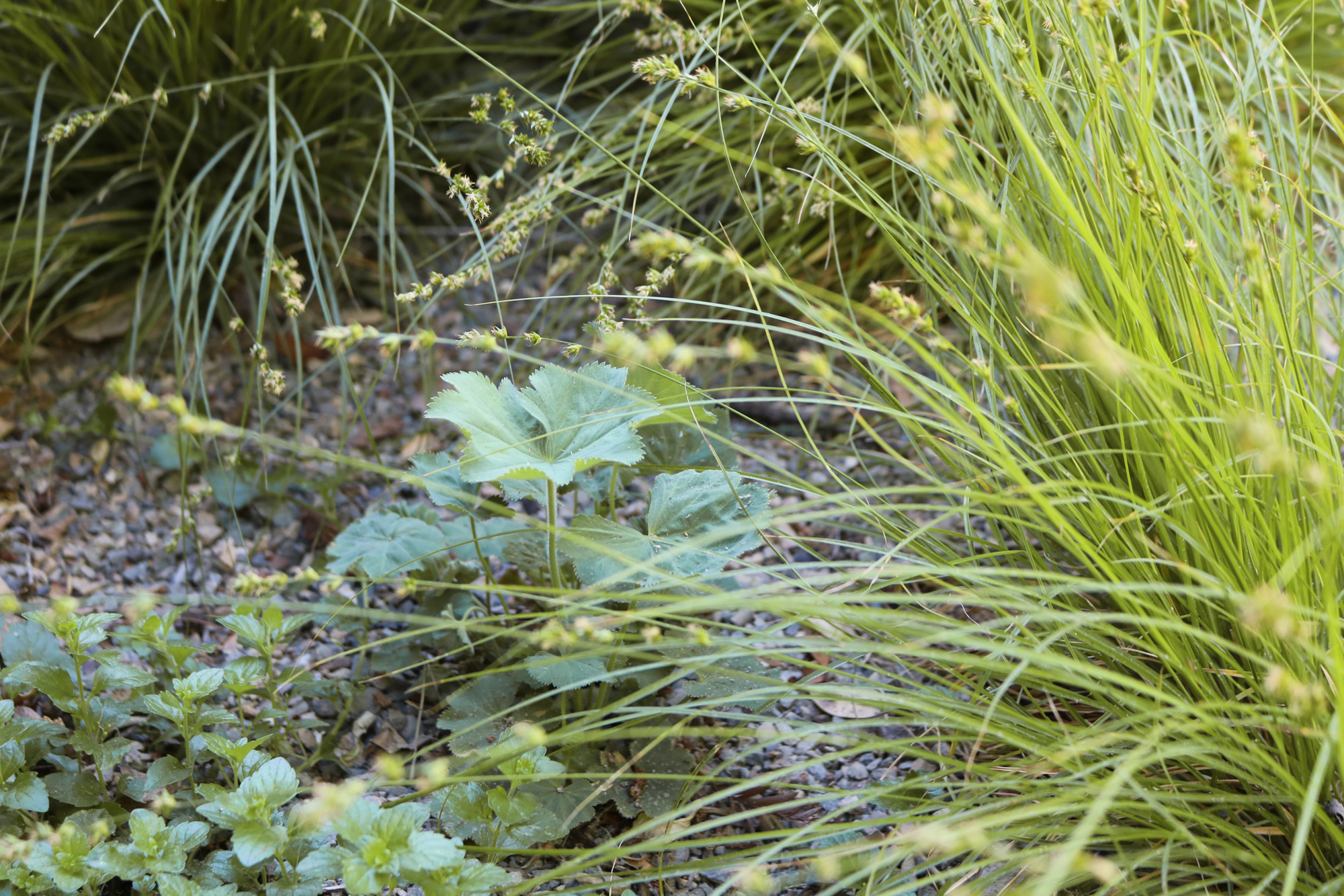 身边风景 | Soft Studio-119