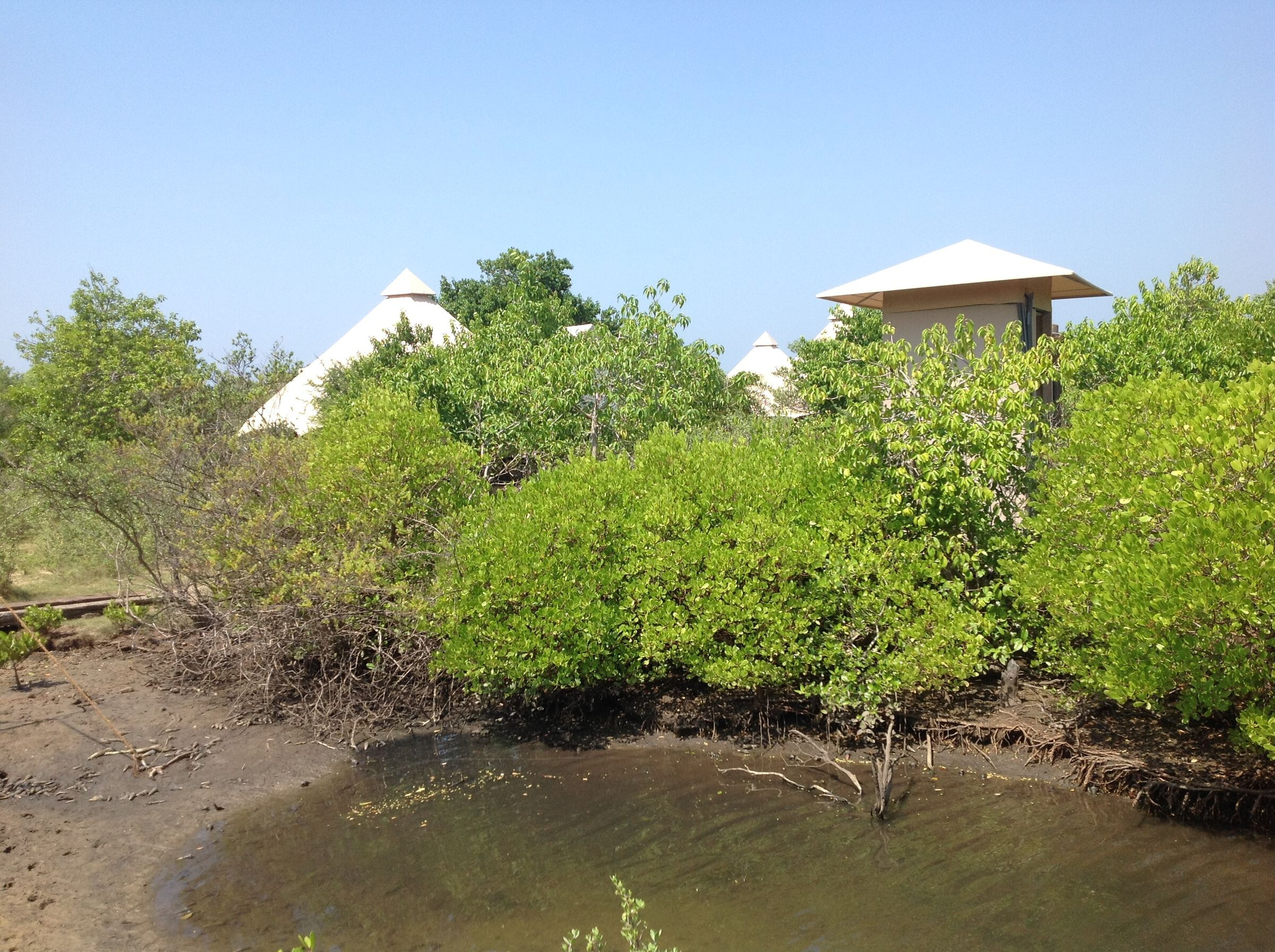 生态奢华，融入自然的帐篷营地-25