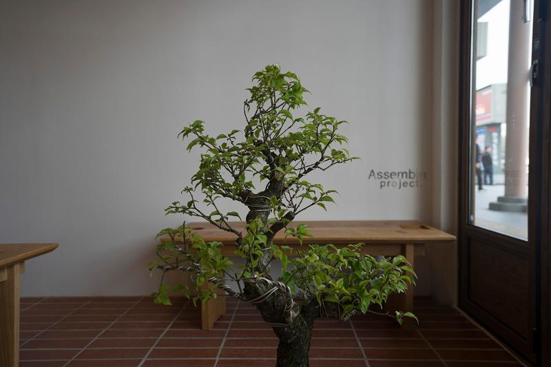 12 坪极简咖啡厅，打造温馨氛围-7