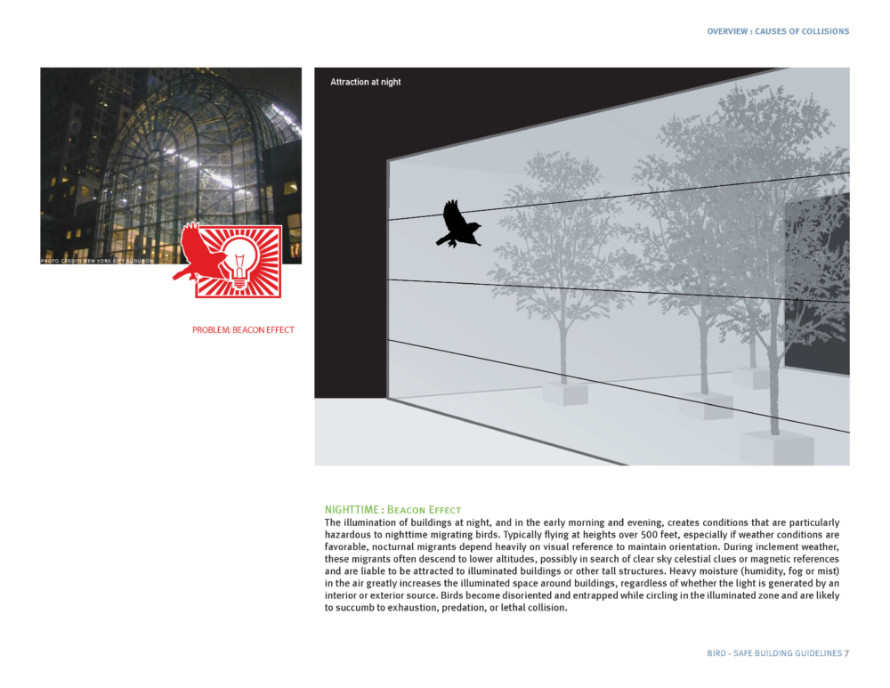 
          Bird-Safe Building Guidelines - SCAPE      -4