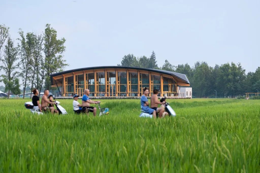 天府农博园“三叶草”青苗项目丨中国四川丨中国建筑西南设计研究院有限公司-48