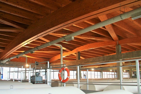 办公楼丨西班牙丨U3 estudio de arquitectura-69