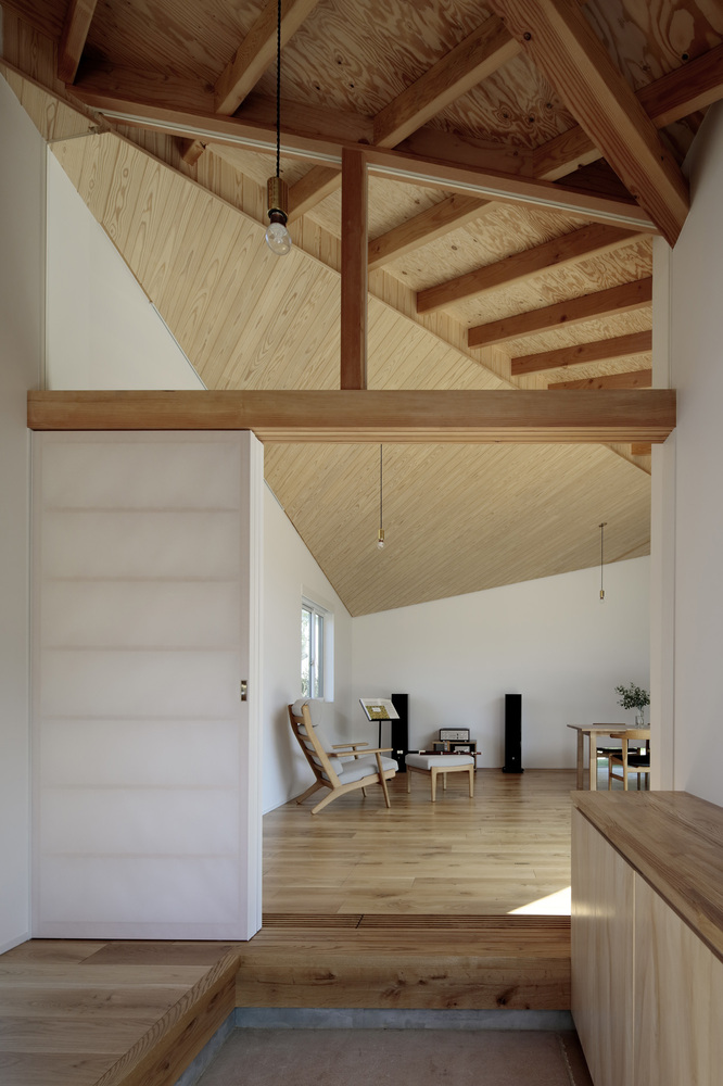 乡间别墅的开放与私密空间设计-38