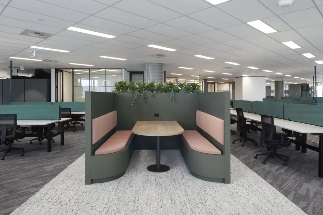 布里斯班 Mobo 联合办公室丨澳大利亚布里斯班丨Zircon Interiors-15