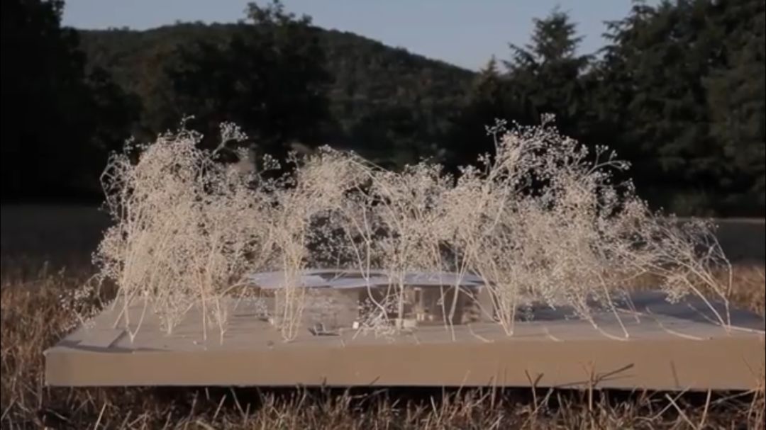 无尽景观住宅 | 时境参与的德国别墅集群设计-400