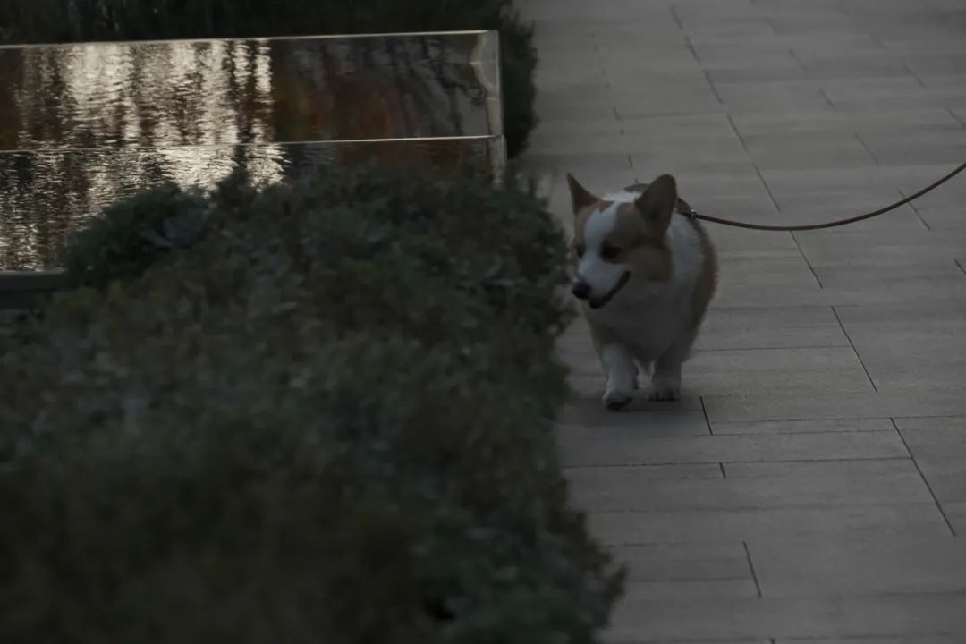 山林的风，拂过街屿 长沙万象城丨中国长沙丨MIND迈德景观-37