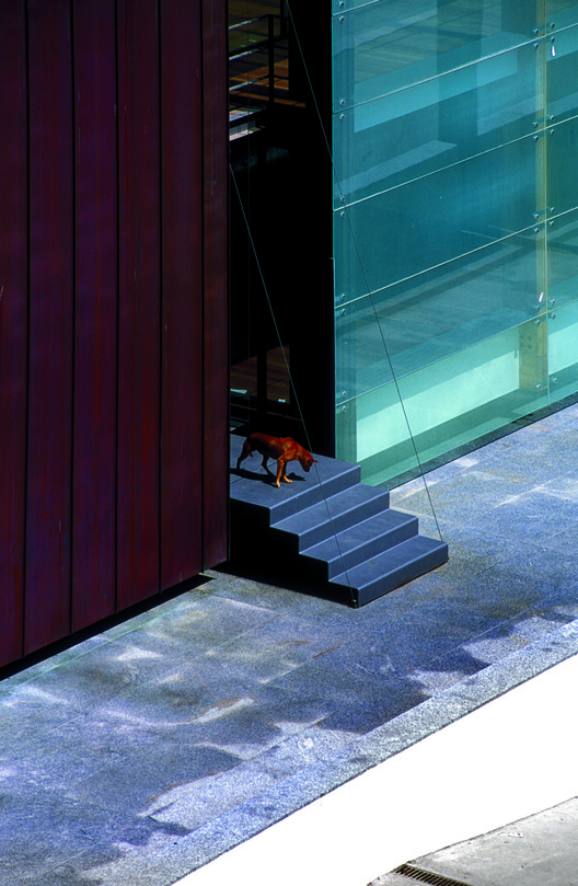 Ponte de Lima Municipal Market  Guedes Cruz Arquitectos-27