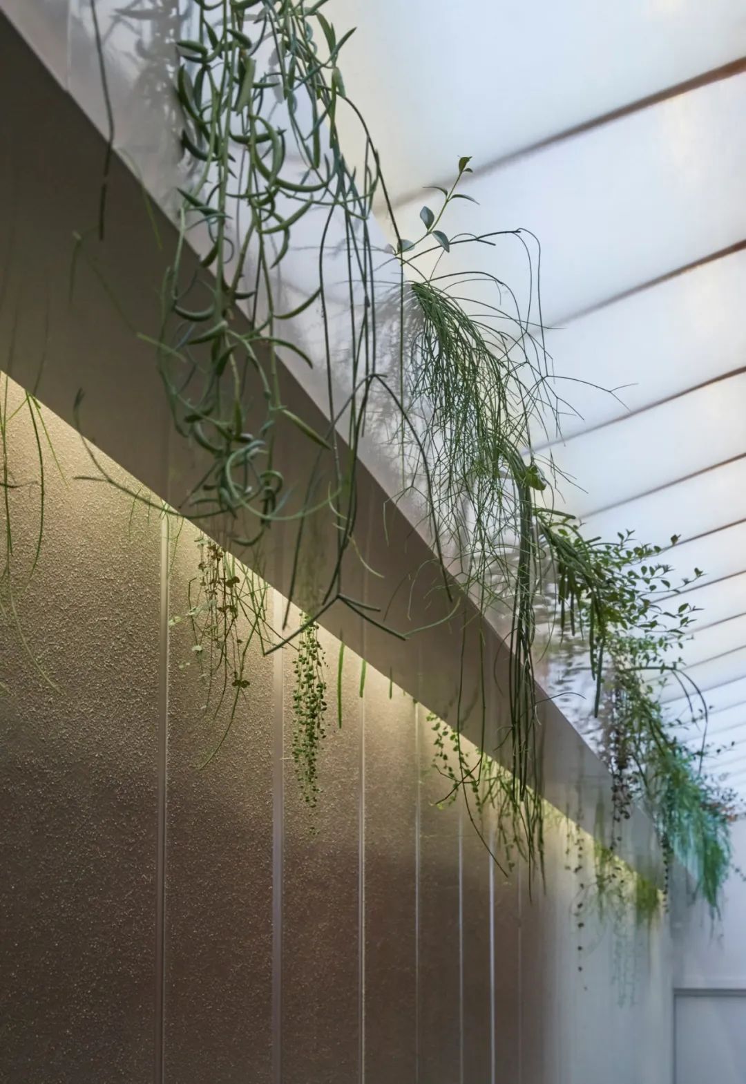 Lilian Von Trapp 珠宝旗舰店设计-17