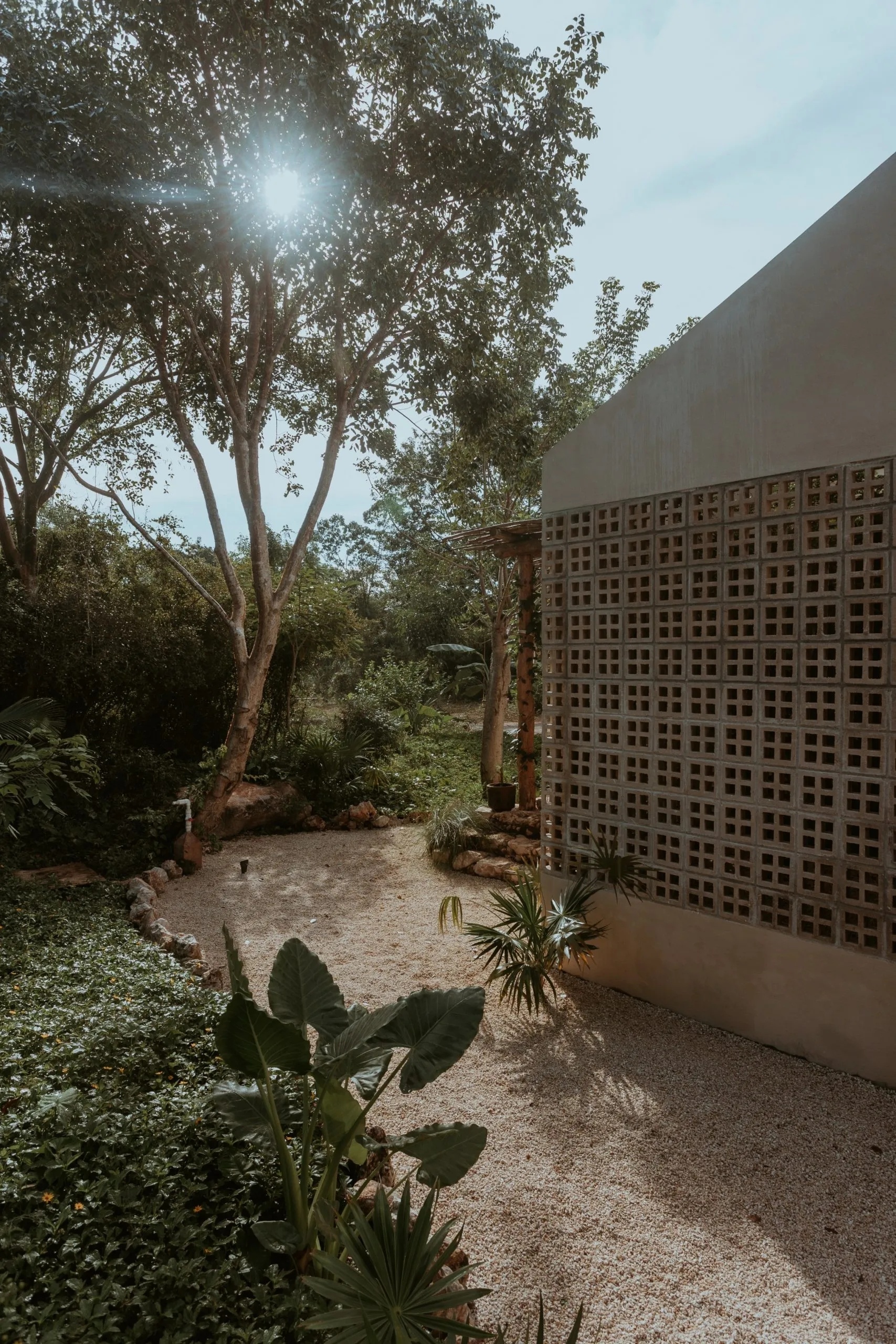 卡萨诺萨福尔扎丨墨西哥瓦哈卡丨Taco-55