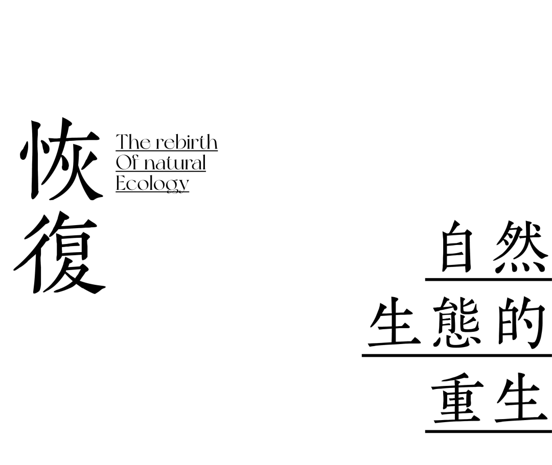 从繁华渔港到生态胜地，重构太湖周边生态面貌 | 太湖流域小溪港鱼咀公园-20