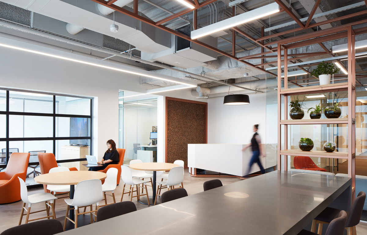 城市树屋里的自然科技融合-8