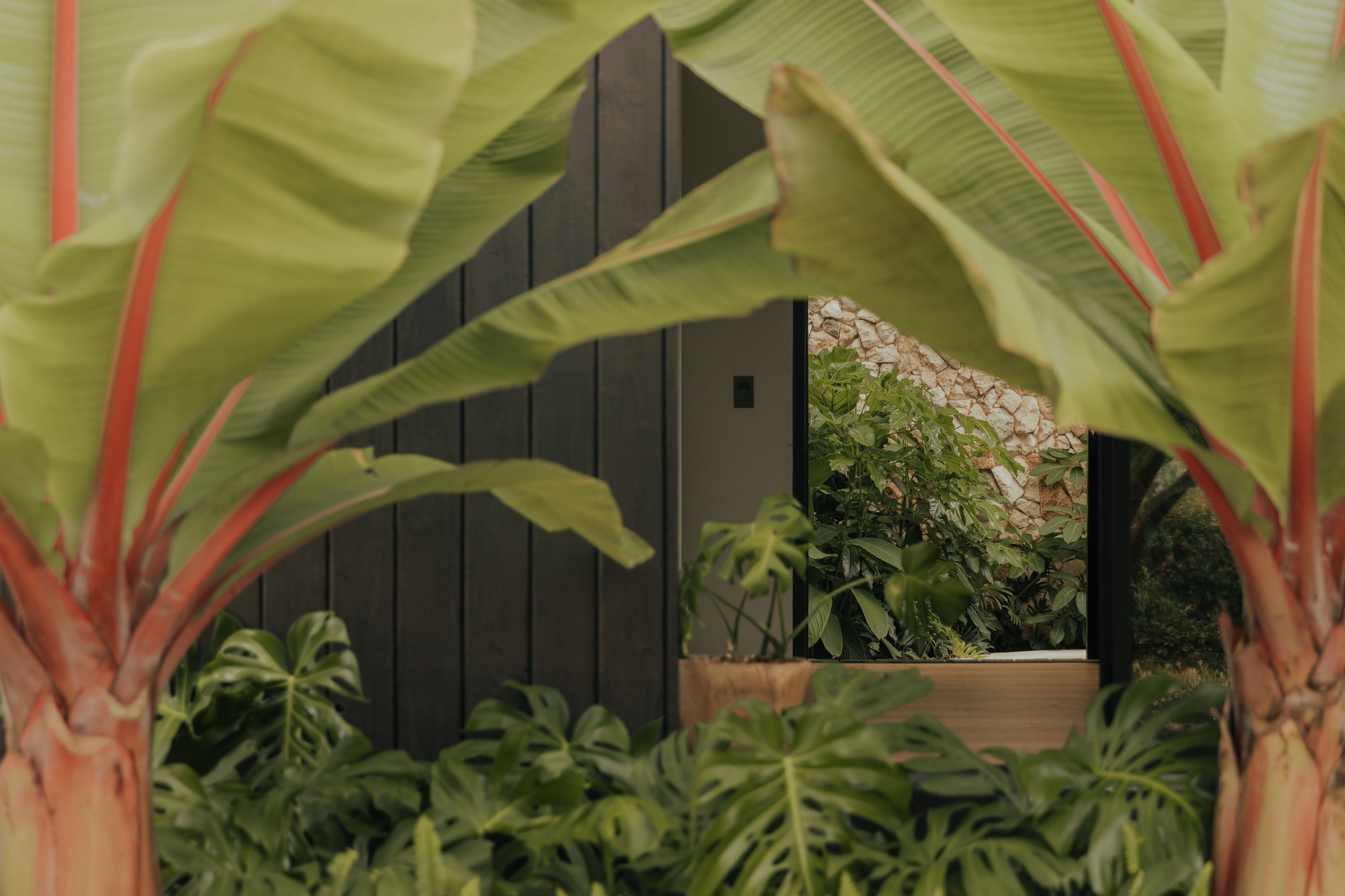 日落庇护所丨哥伦比亚丨Bon Studio-34