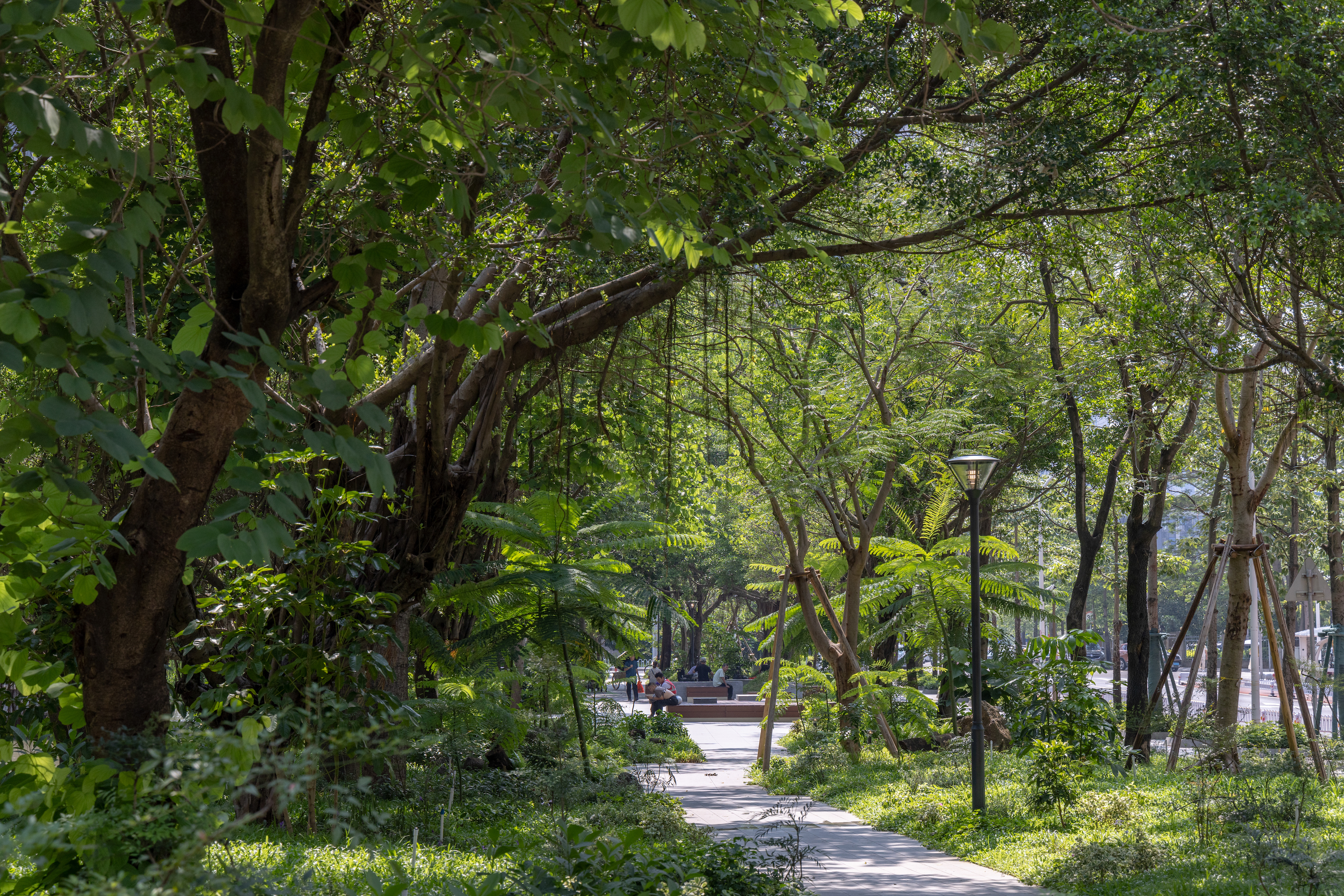 广州亚运公园丨中国运城丨广亩景观-48