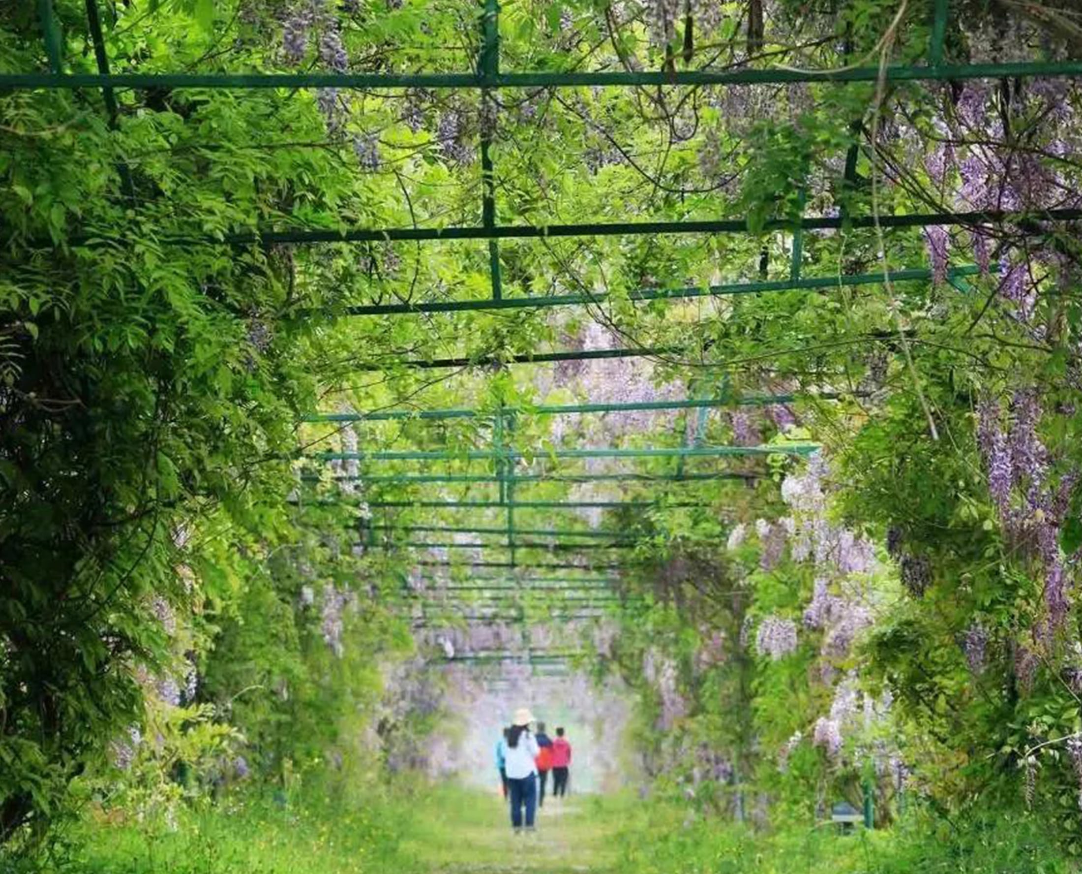 南京溧水郭兴村·无想自然学校丨中国南京-47