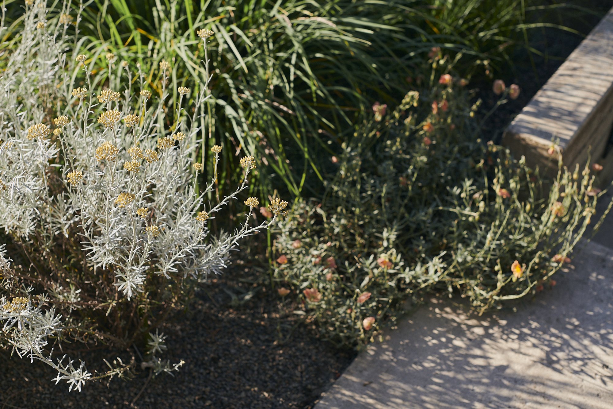 大型测试·大型狩猎之旅丨美国-14