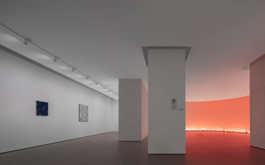 金臣·亦飞鸣美术馆丨中国上海丨HWCD-57