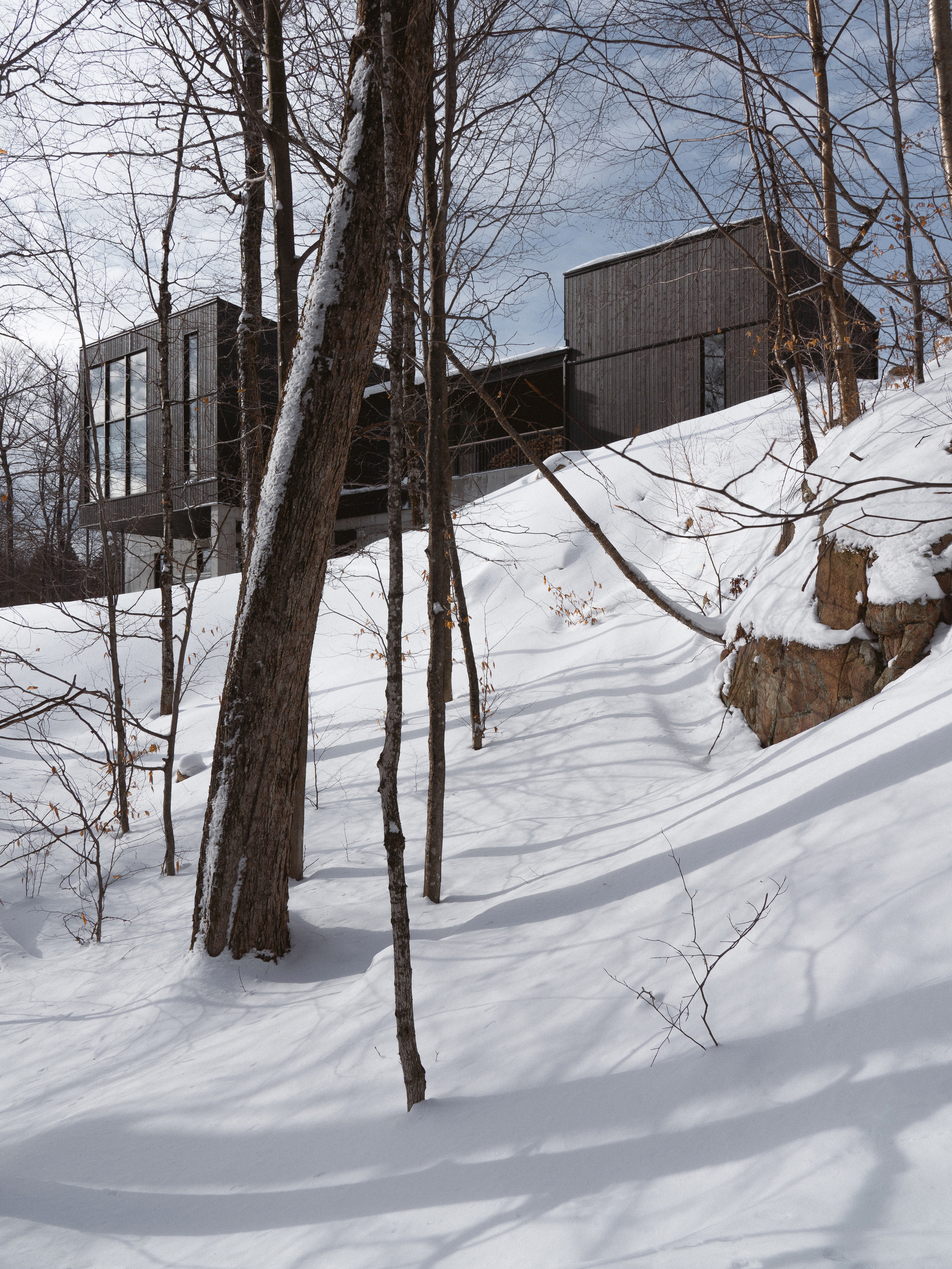 阿利泽公寓丨加拿大魁北克丨Atelier BOOMTOWN-29