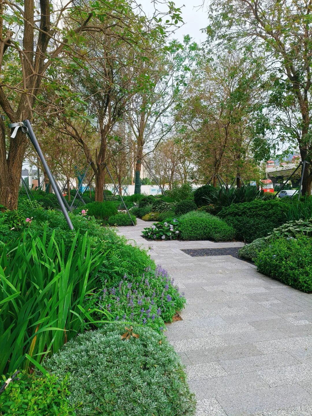 奥城景观||深圳•招商•前海经贸中心大厦环境综合提升工程-20