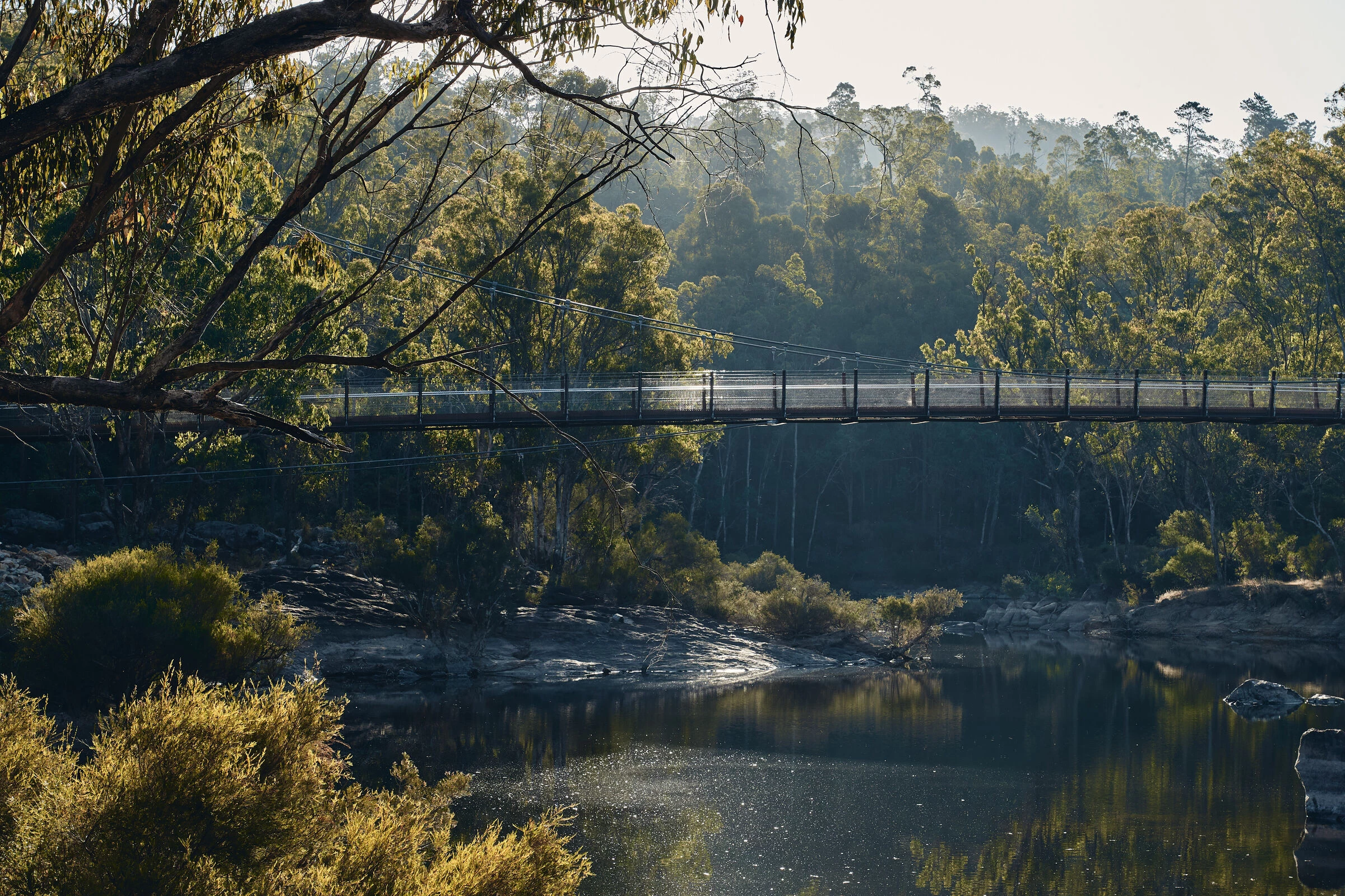 Dwaarlindjirraap 悬索桥丨澳大利亚-28