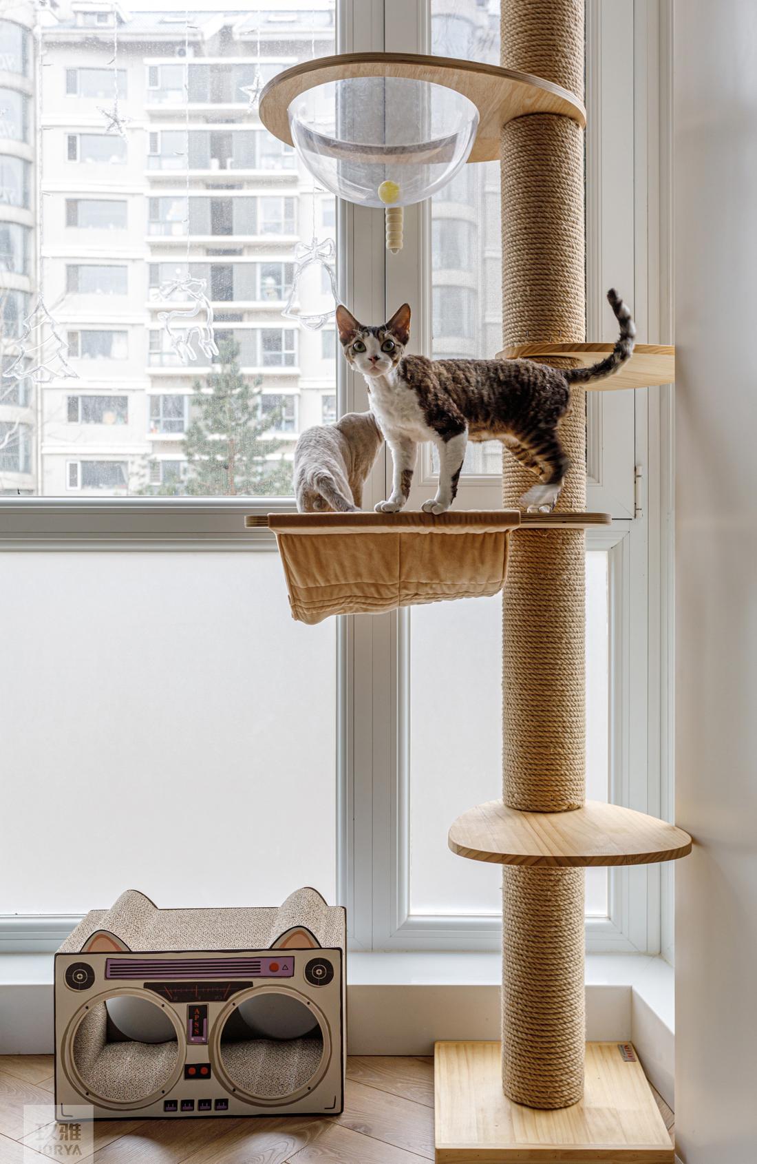 阳光糖果色温馨家居丨JORYA玖雅-20