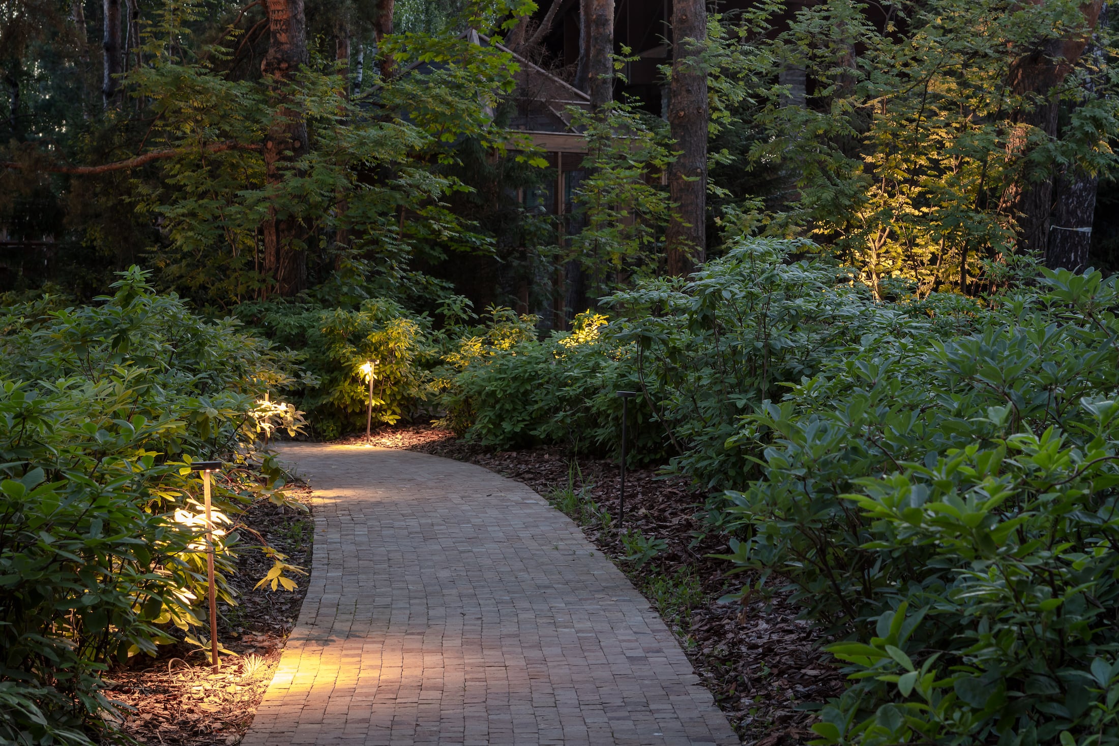 莫斯科北部童话森林湖景-15