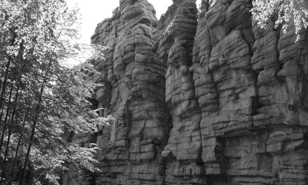 多功能综合体“大学城”丨俄罗斯丨建筑事务所“А.Лен”-15