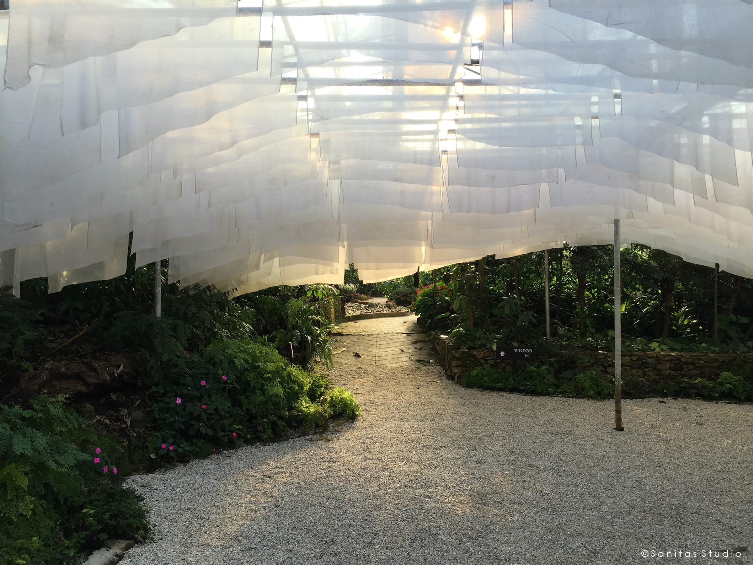 在山中,萨尼塔斯工作室-15