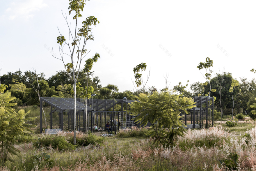 墨西哥 Guadalajara 社区公园重生丨SPRB Arquitectos-31