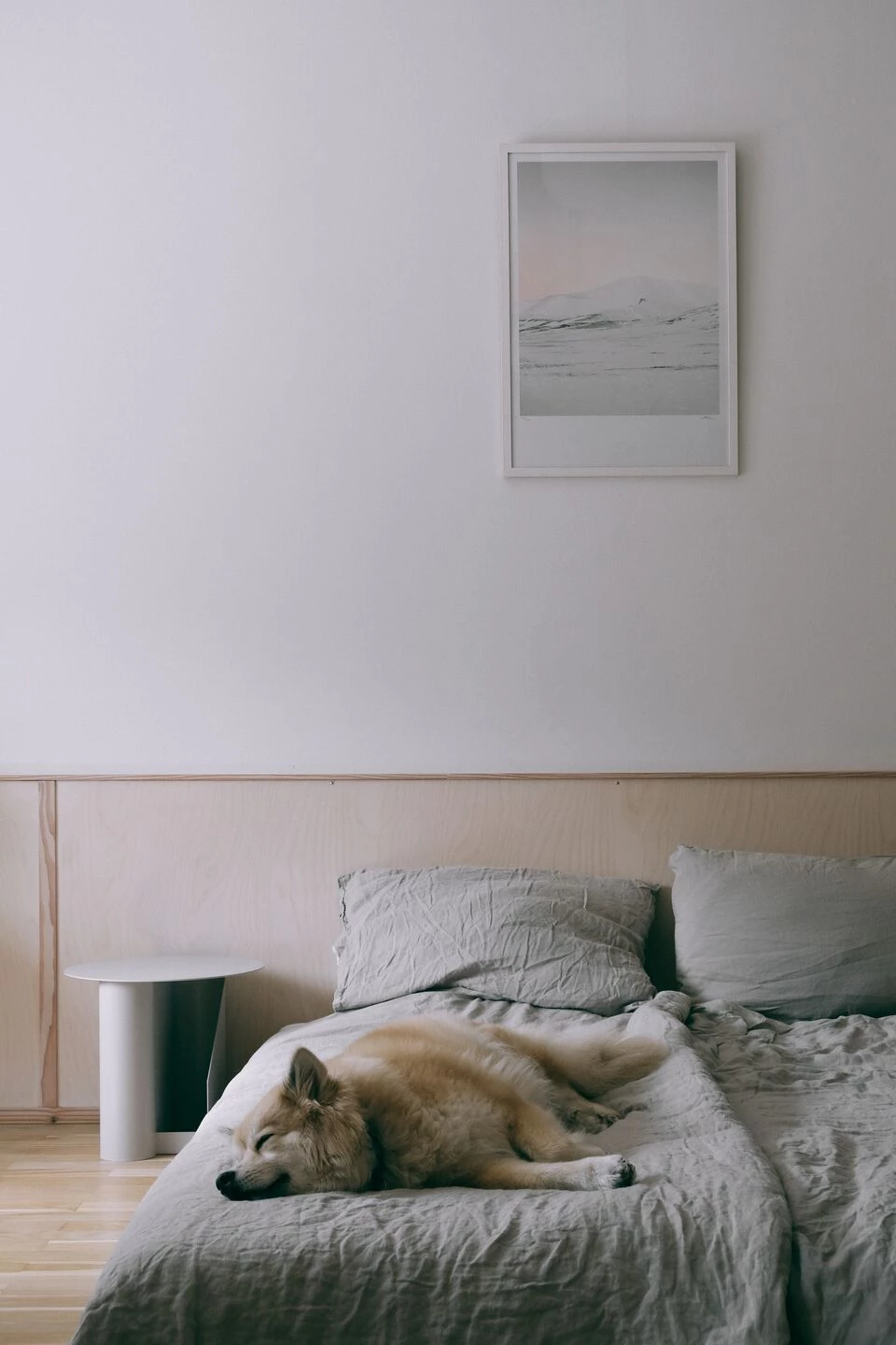 丹麦哥本哈根的澳大利亚风格公寓设计丨Stance Studio-60