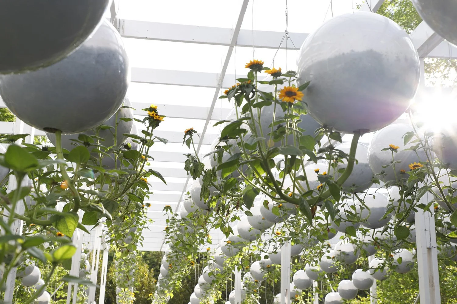 地形工作重力场-20