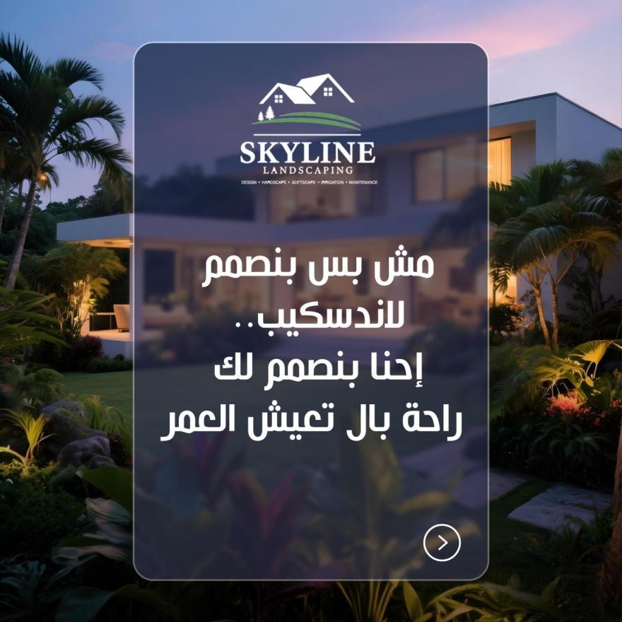 无明确提及丨Skyline-0