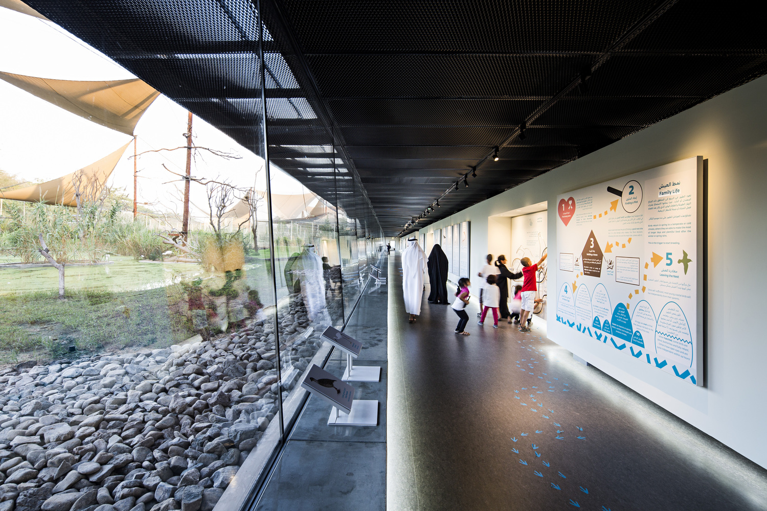 瓦西特自然保护区游客中心-27