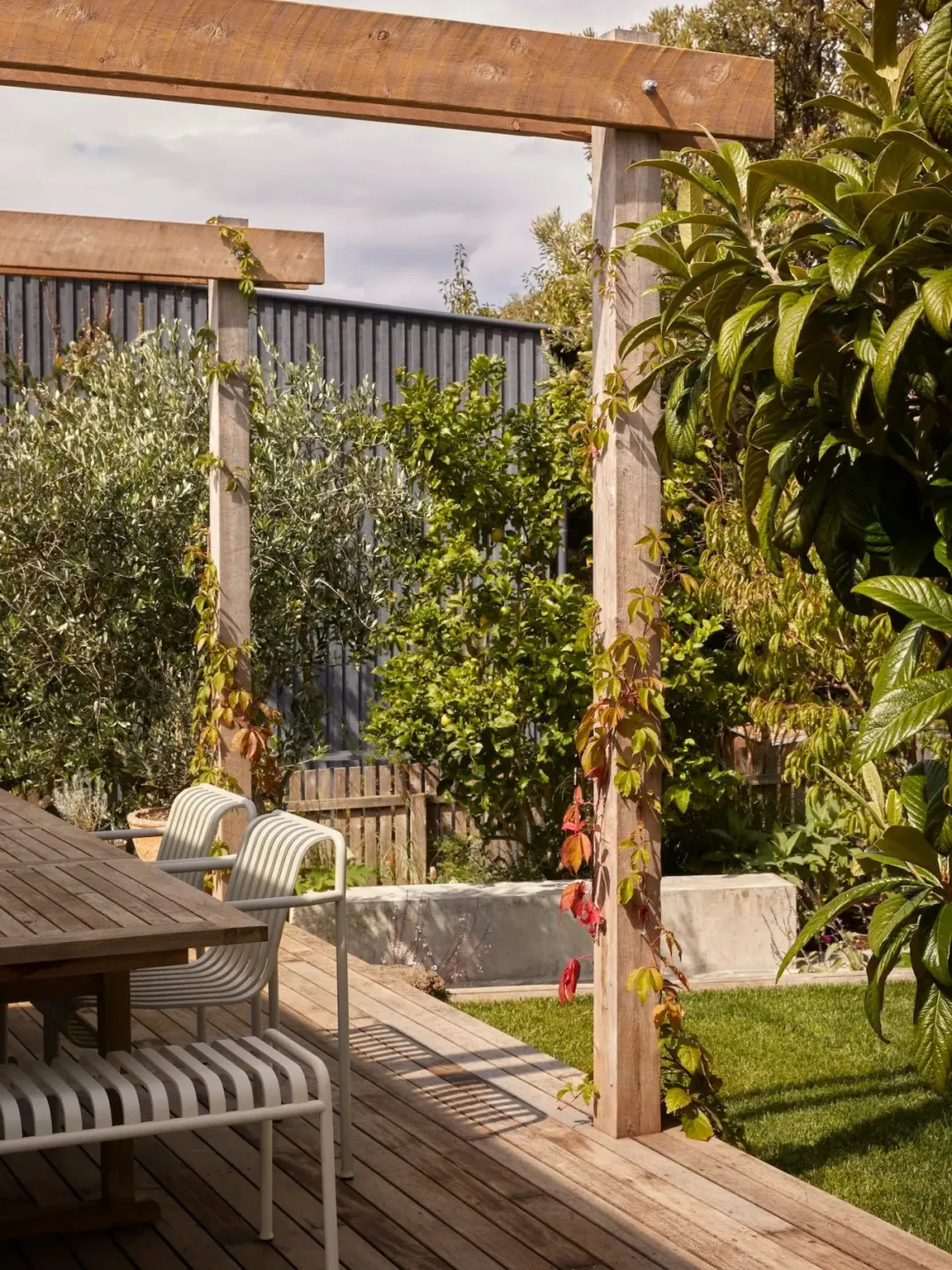 轻松治愈 · 在海风与绿意间找回生活的松弛感丨澳大利亚丨Studio George (室内),Ooz Designs (建筑)-33