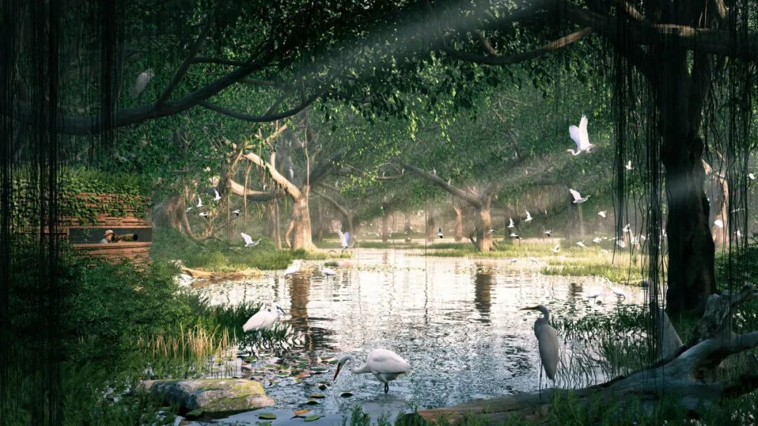 顺德鹭鸟湿地片区景观规划丨中国佛山丨AECOM-0