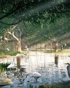 顺德鹭鸟湿地片区景观规划丨中国佛山丨AECOM