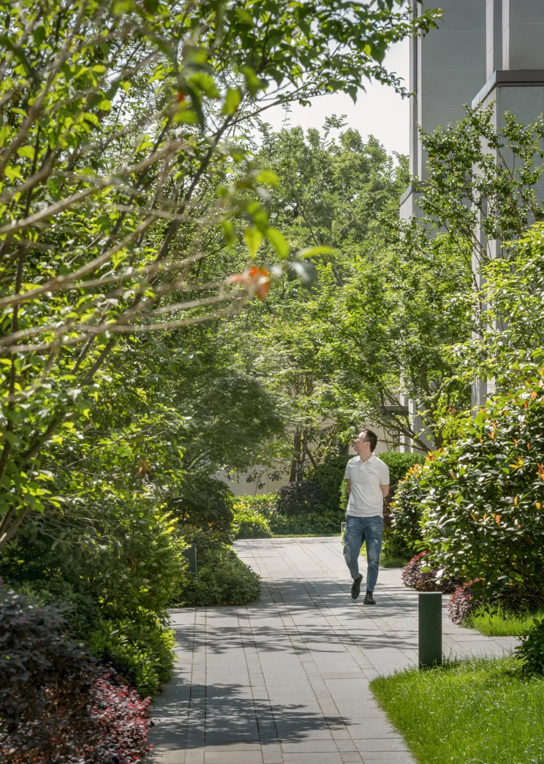 绍兴·檀院大区住宅景观-10