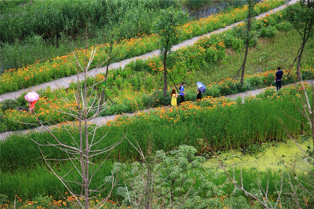 六盘水明湖湿地公园,贵州 / 土人-32