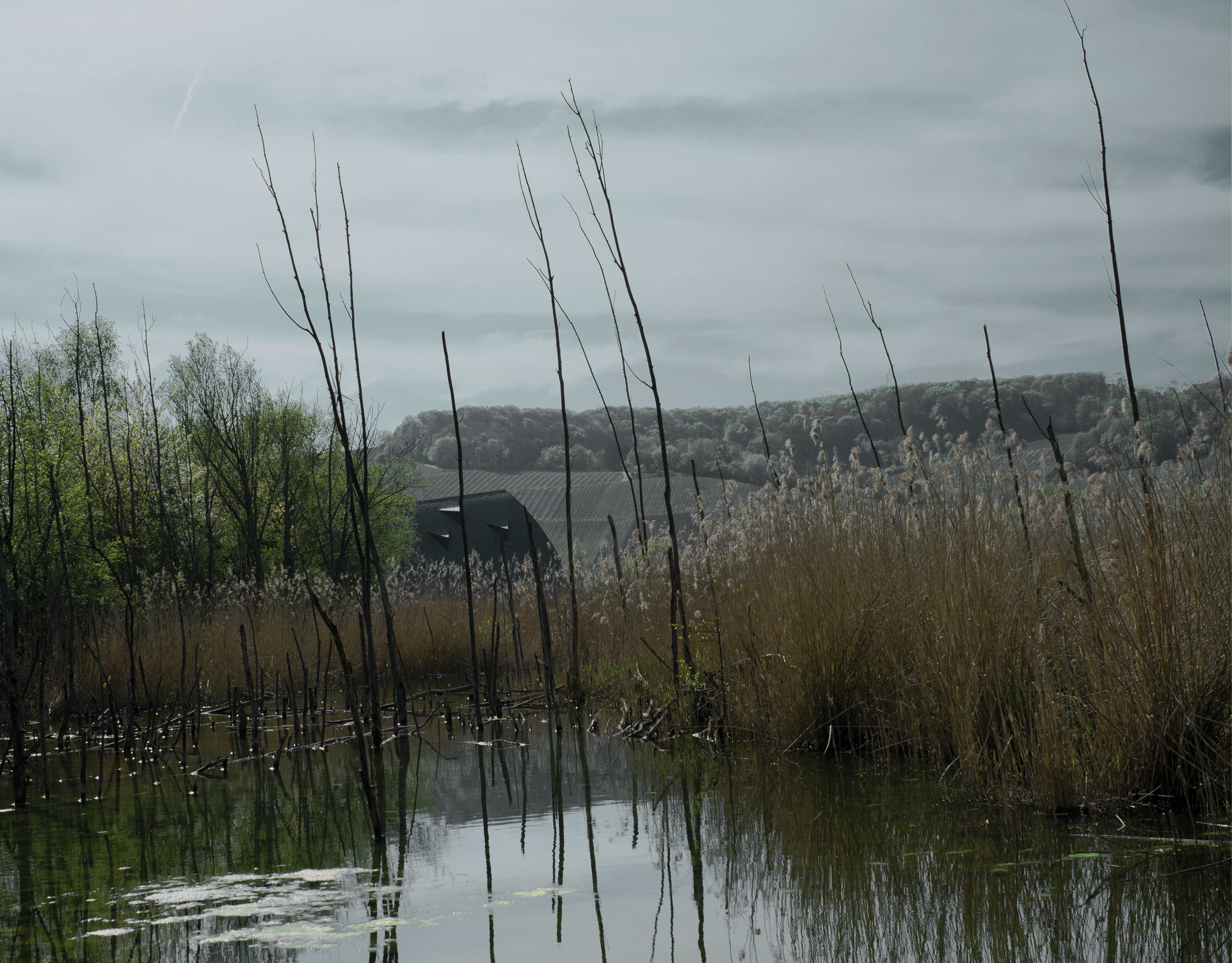 生态中心“Haff Remich”-21