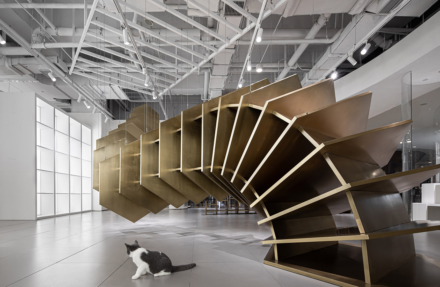 杭州三只尾巴-pidan线下品牌体验店 | 泛域设计-19