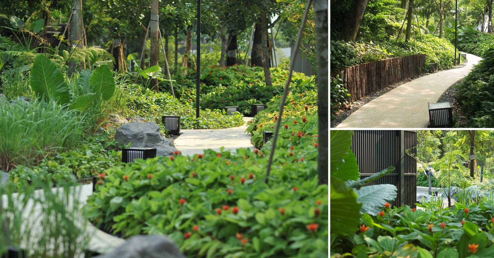 新加坡 Marq 豪宅景观 | 垂直绿化与建筑和谐共生-15