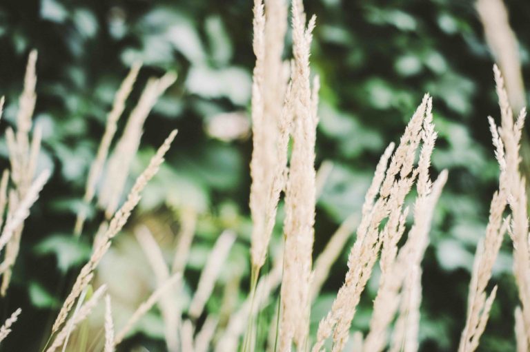 Garden by Anna（斯德哥尔摩现代功能性内院）丨瑞典斯德哥尔摩-5