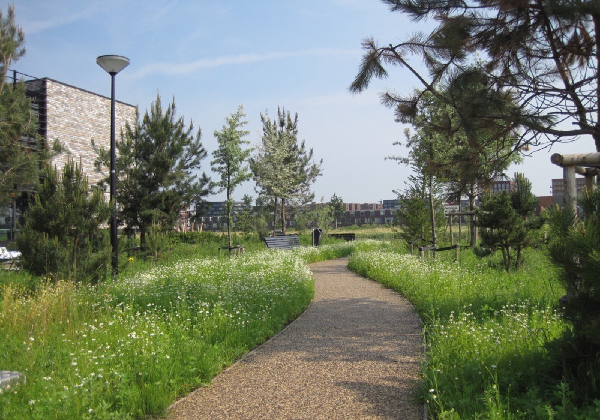 阿姆斯特丹 Rieteiland Oost 岛屿社区-0