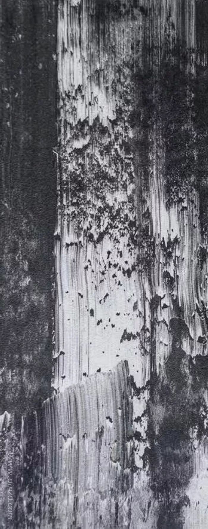 集美组临岸听桨，展现枕水而息的生活美学-26