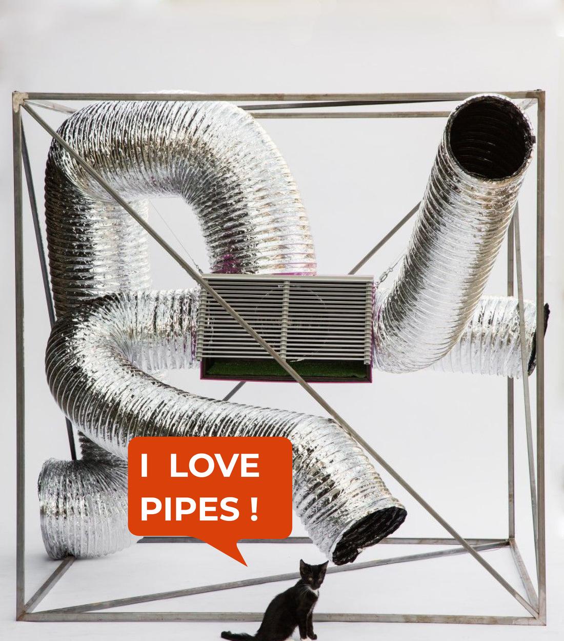 喵星人入侵 · 猫咪共享空间丨中国青岛丨黄士华-22