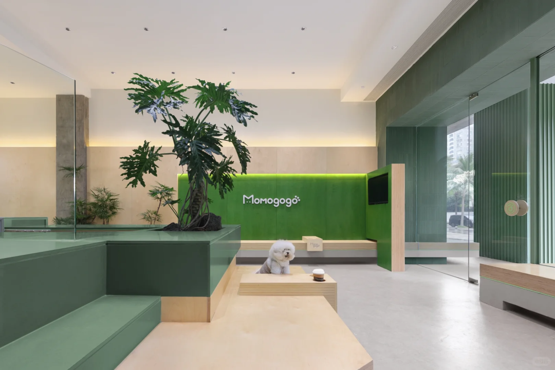 海南▶Momogogo人宠都市绿洲——毛孩子的友好综合空间-14